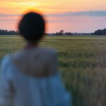 a person standing in a field watching the sun set